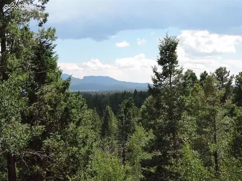 320 Spring Valley Dr, Divide, CO 80814 photo 3