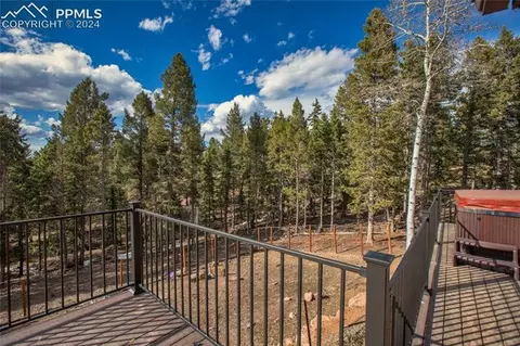 342 Blue Mesa Dr, Divide, CO 80814 photo 4