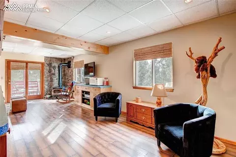 264 Cradle Lake Dr, Divide, CO 80814 photo 22