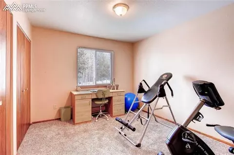 264 Cradle Lake Dr, Divide, CO 80814 photo 18