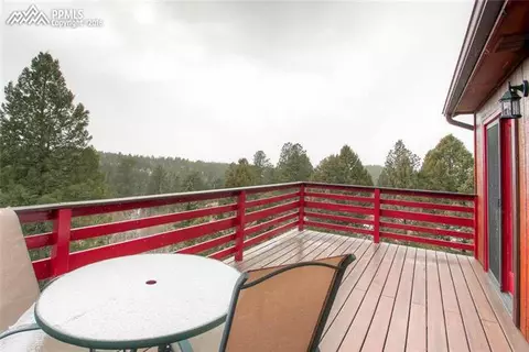264 Cradle Lake Dr, Divide, CO 80814 photo 25