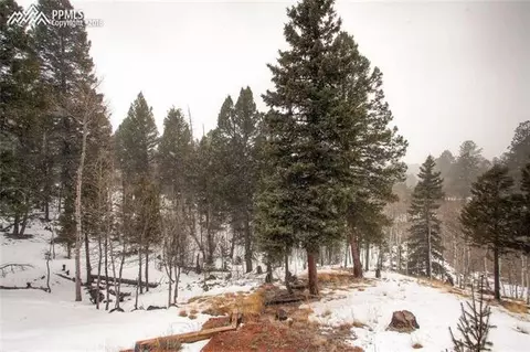 264 Cradle Lake Dr, Divide, CO 80814 photo 28