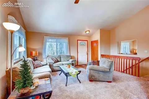 264 Cradle Lake Dr, Divide, CO 80814 photo 5