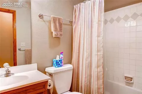 264 Cradle Lake Dr, Divide, CO 80814 photo 14