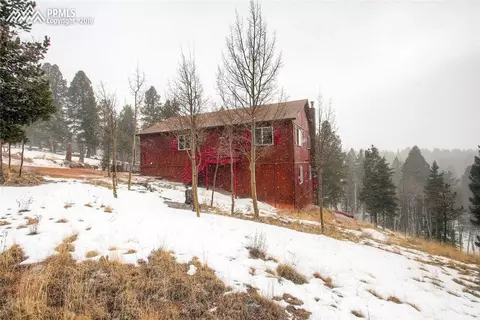 264 Cradle Lake Dr, Divide, CO 80814 photo 1