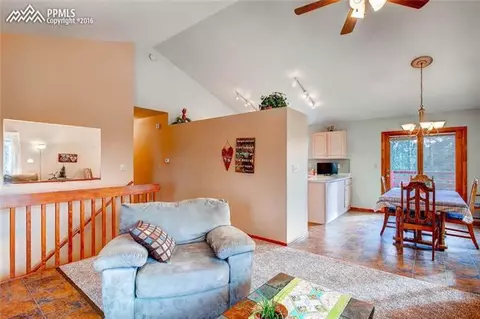 264 Cradle Lake Dr, Divide, CO 80814 photo 6