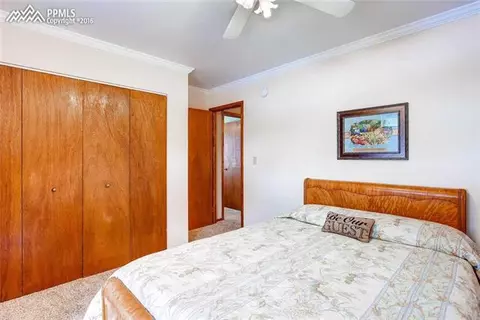 264 Cradle Lake Dr, Divide, CO 80814 photo 17