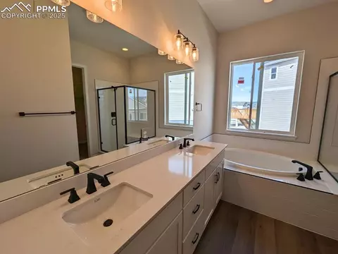 16826 Starfall Dr, Monument, CO 80132 photo 8