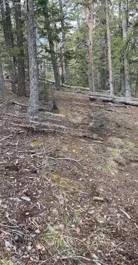0 Glenwood Ln, Woodland Park, CO 80863