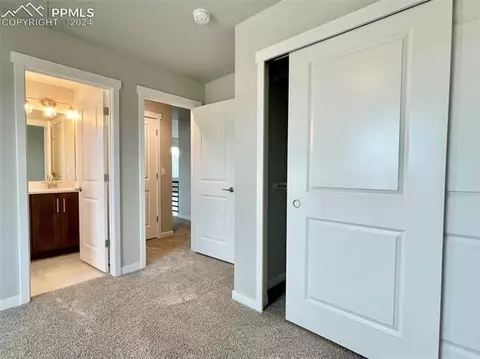 17738 Lemon Rye Loop, Monument, CO 80132 photo 11