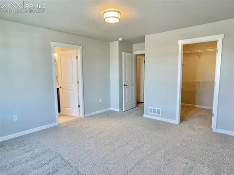 17738 Lemon Rye Loop, Monument, CO 80132 photo 16