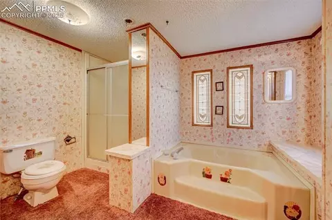5985 N Meridian Rd, Peyton, CO 80831 photo 21