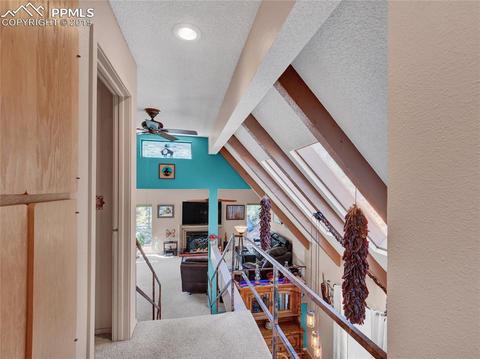 8725 Ute Rd, Cascade, CO 80809 photo 27