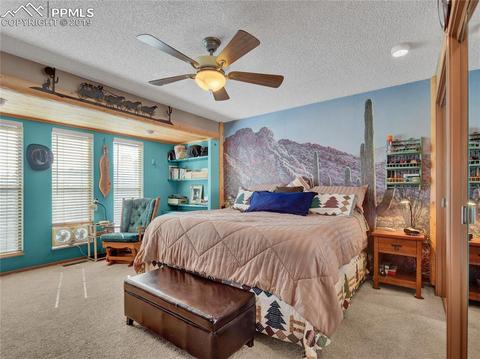 8725 Ute Rd, Cascade, CO 80809 photo 17