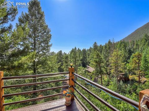 8725 Ute Rd, Cascade, CO 80809 photo 30