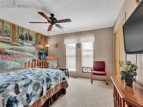 8725 Ute Rd, Cascade, CO 80809 photo 22