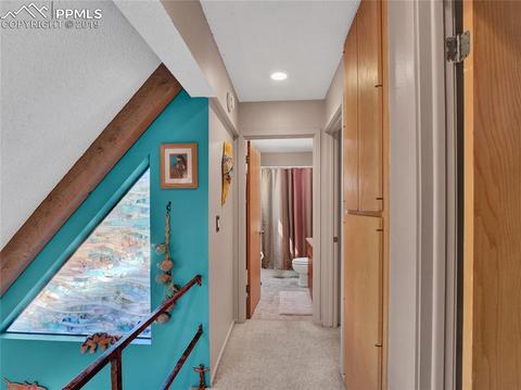 8725 Ute Rd, Cascade, CO 80809 photo 25
