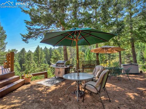 8725 Ute Rd, Cascade, CO 80809 photo 31