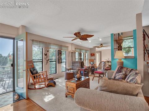 8725 Ute Rd, Cascade, CO 80809 photo 4