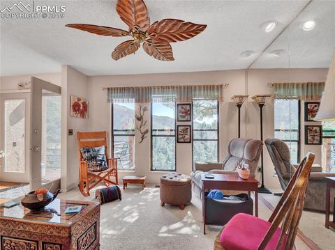 8725 Ute Rd, Cascade, CO 80809 photo 5