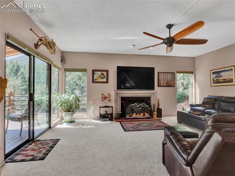 8725 Ute Rd, Cascade, CO 80809 photo 12