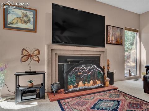 8725 Ute Rd, Cascade, CO 80809 photo 13