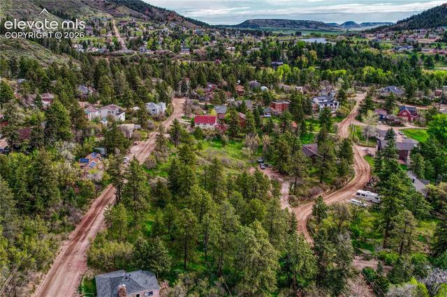 Buena Vista Avenue, Palmer Lake, CO 80133