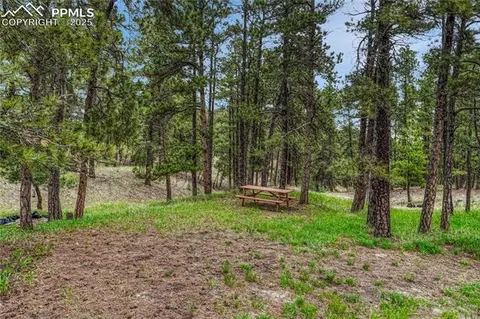17475 Cleese Ct, Peyton, CO 80831 photo 45