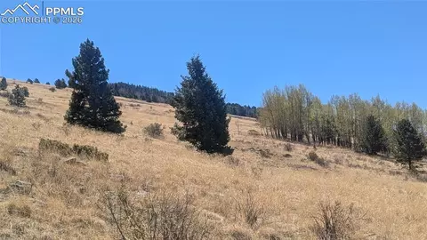 1960 Troy Dr, Cripple Creek, CO 80813
