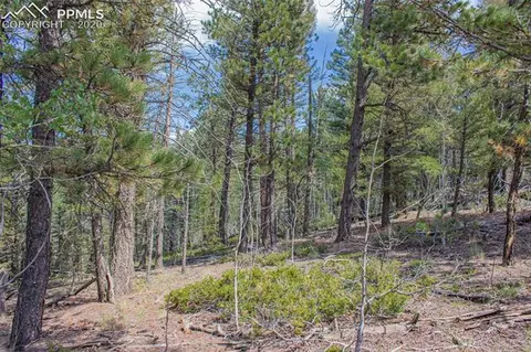 97 Needle Creek Rd, Divide, CO 80814 photo 3