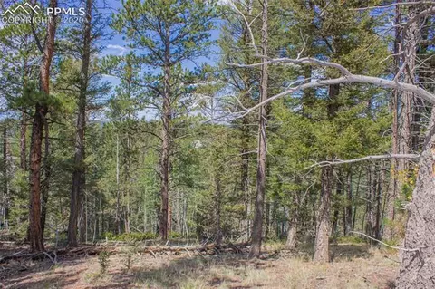 97 Needle Creek Rd, Divide, CO 80814 photo 4