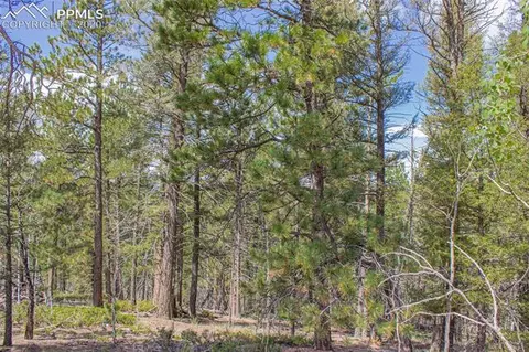 97 Needle Creek Rd, Divide, CO 80814 photo 2