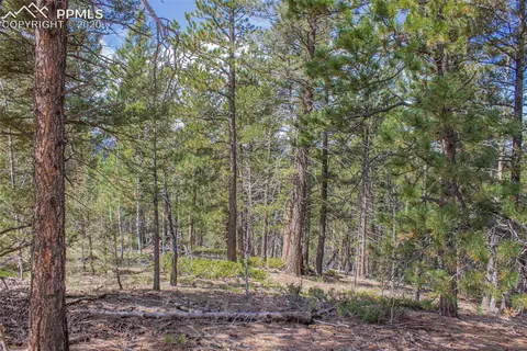 97 Needle Creek Rd, Divide, CO 80814 photo 1