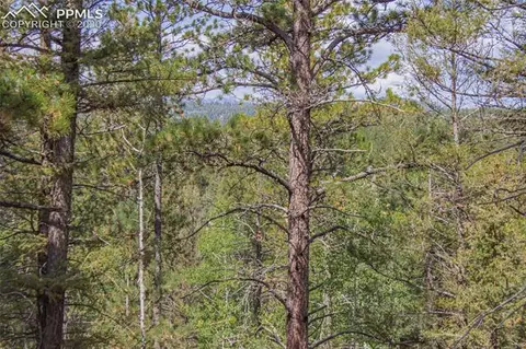 97 Needle Creek Rd, Divide, CO 80814 photo 5