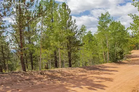 97 Needle Creek Rd, Divide, CO 80814 photo 7