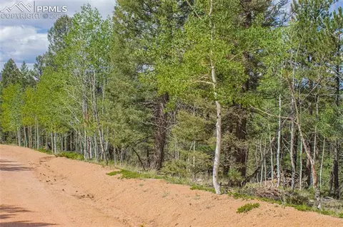 97 Needle Creek Rd, Divide, CO 80814 photo 6