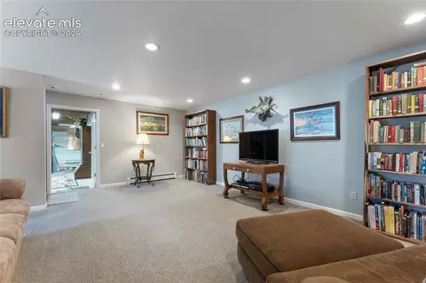 657 Spring Valley Dr, Divide, CO 80814 photo 27