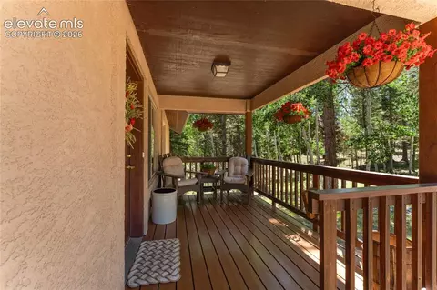 657 Spring Valley Dr, Divide, CO 80814 photo 3
