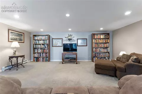 657 Spring Valley Dr, Divide, CO 80814 photo 29