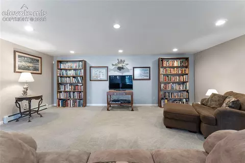 Other - 657 Spring Valley Dr, Divide, CO 80814 photo 7 of 15