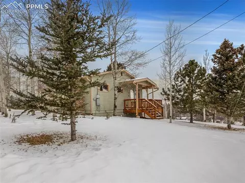 276 Aspen Cir, Divide, CO 80814 photo 19