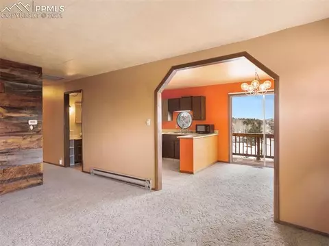 276 Aspen Cir, Divide, CO 80814 photo 5