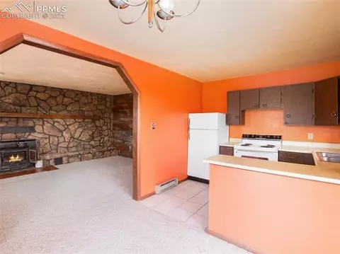 276 Aspen Cir, Divide, CO 80814 photo 8