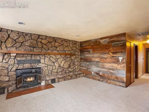 276 Aspen Cir, Divide, CO 80814 photo 3