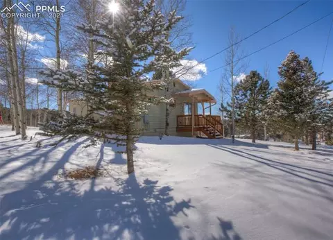 276 Aspen Cir, Divide, CO 80814 photo 22