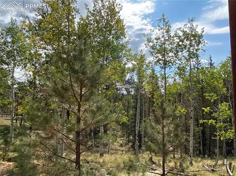 4058 Omer Ln, Divide, CO 80814 photo 5