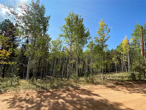 4058 Omer Ln, Divide, CO 80814 photo 1