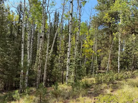 4058 Omer Ln, Divide, CO 80814 photo 2