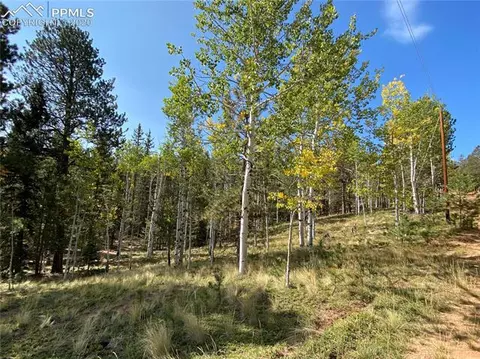 4058 Omer Ln, Divide, CO 80814 photo 3