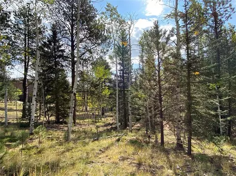 4058 Omer Ln, Divide, CO 80814 photo 4